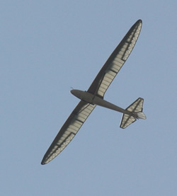 A glider soars against a blue sky.  The view from below shows the internal structure of the glider showing through the translucent skin.